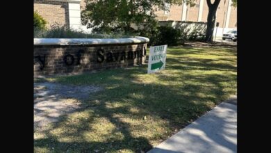 Early voting period in Georgia sees record-breaking numbers