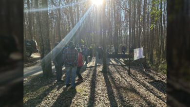 MLK National Day of Service celebrates 30th anniversary with environmental work
